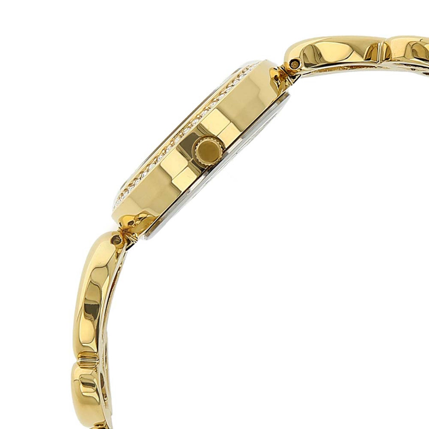 Titan Raga Garden Of Eden Black Dial Women Watch With Metal Strap
