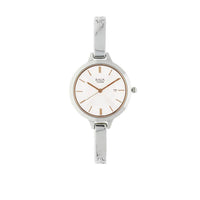 Titan Raga Viva Silver Dial Analog Quartz Metal Strap Watch for Women