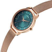 Sonata Wedding Quartz Alog Green Dial Stainless Steel Strap Watch for Women